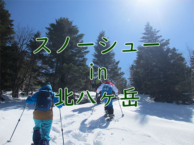 yatsu-snowshoe_1